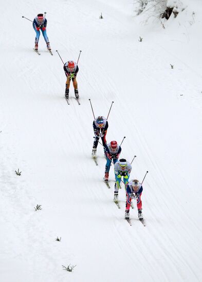 Лыжные гонки. Х этап Кубка мира. Женщины. Спринт
