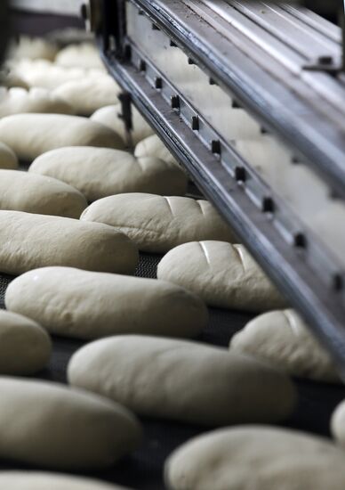 Производство хлебобулочных изделий на хлебозаводе "Экспохлеб"