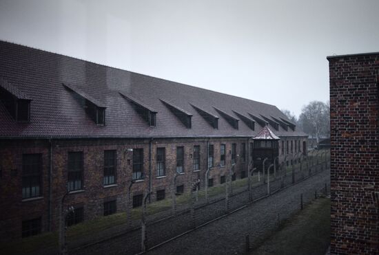 К 70-й годовщине освобождения концлагеря Аушвиц-Биркенау (Освенцим) Красной Армией