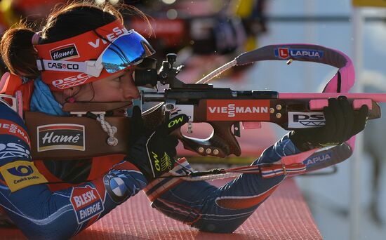 Биатлон. VI этап Кубка мира. Женщины. Эстафета