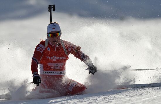 Биатлон. VI этап Кубка мира. Женщины. Эстафета