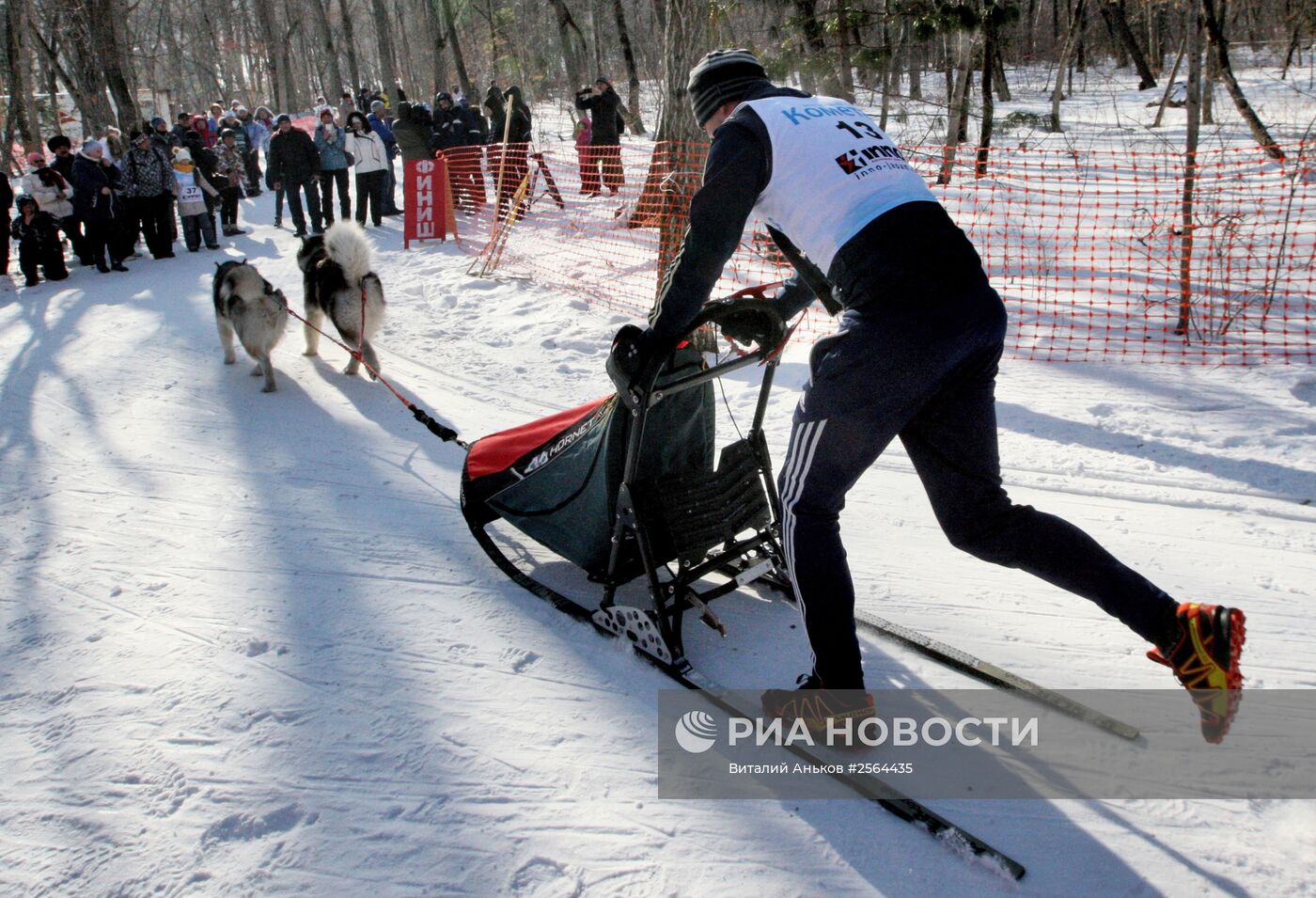 Открытый чемпионат по зимним дисциплинам ездового спорта во Владивостоке