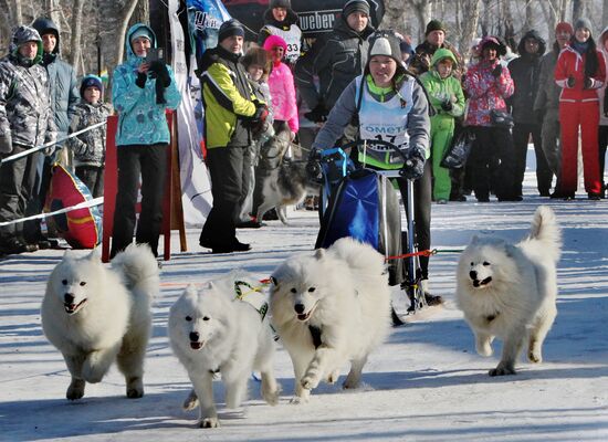 Открытый чемпионат по зимним дисциплинам ездового спорта во Владивостоке