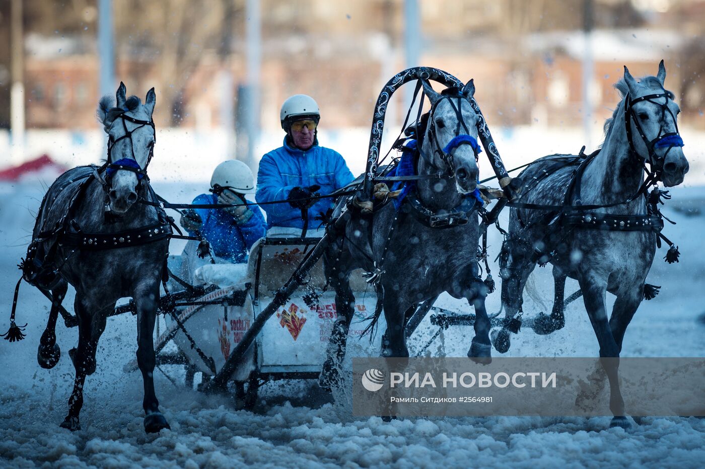 I этап чемпионата России русских троек "Московская зима"