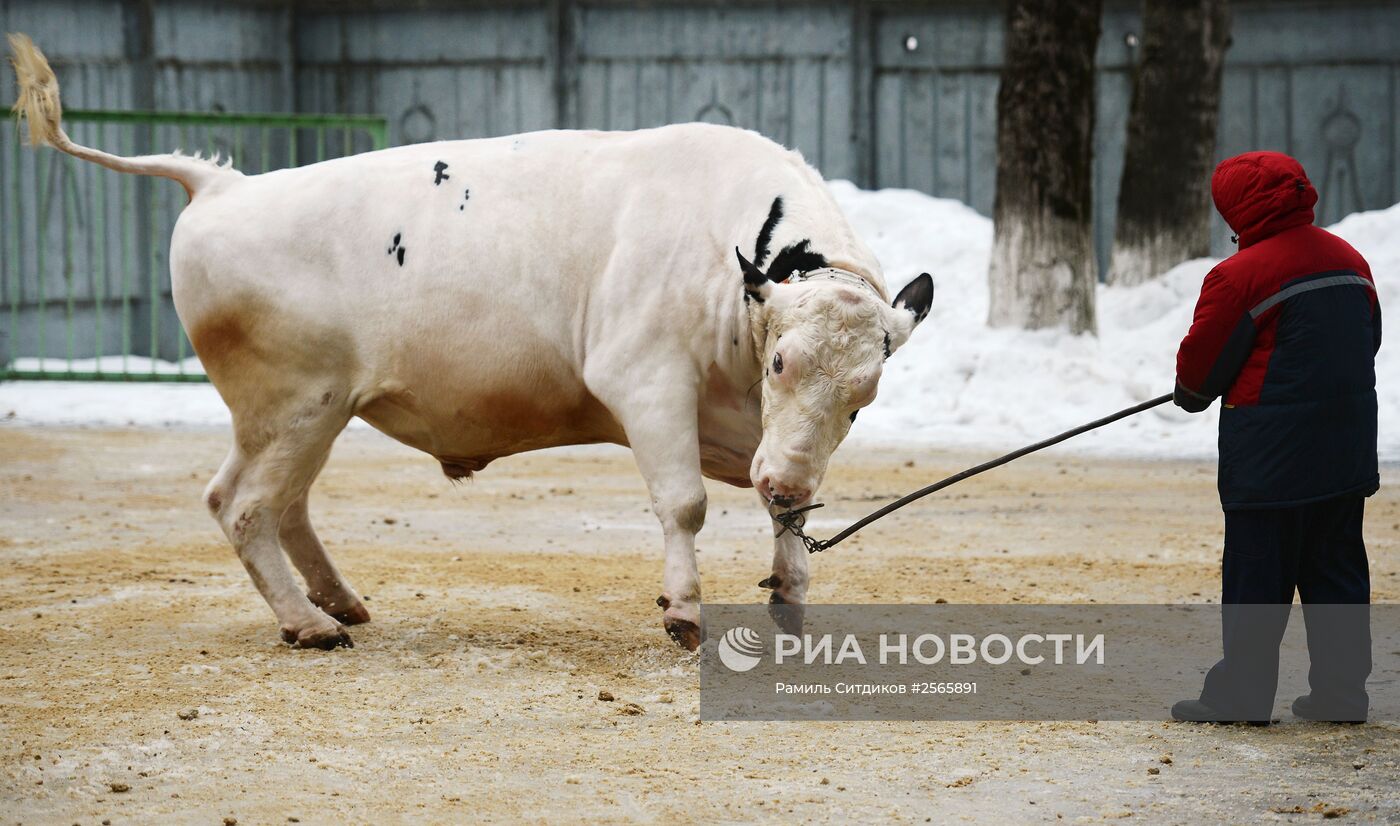 Головной центр по воспроизводству сельскохозяйственных животных