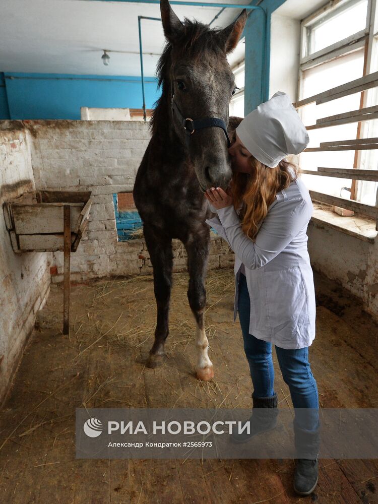 Уральская государственная академия ветеринарной медицины