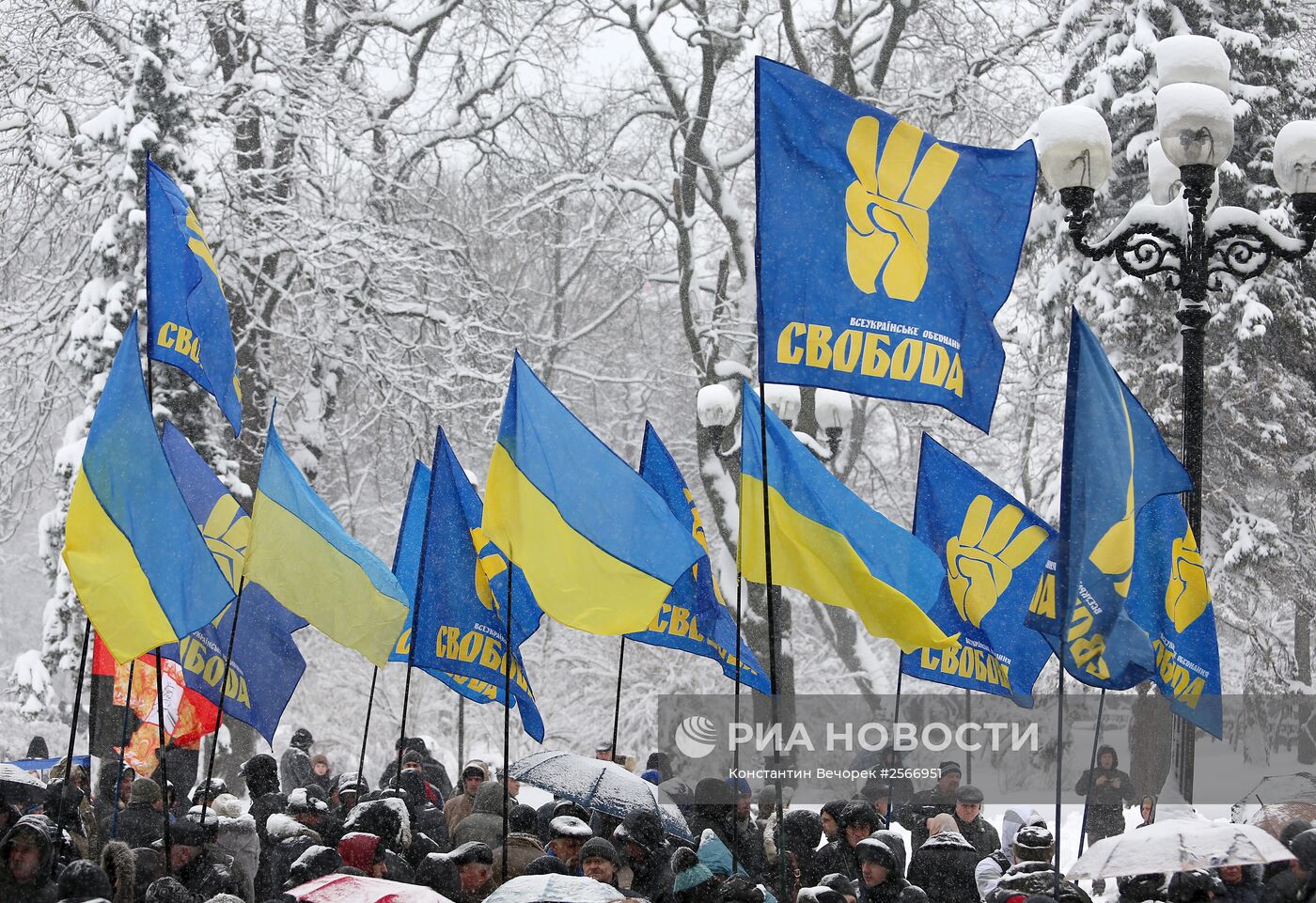 Акция протеста представителей Партии "Свобода" в Киеве