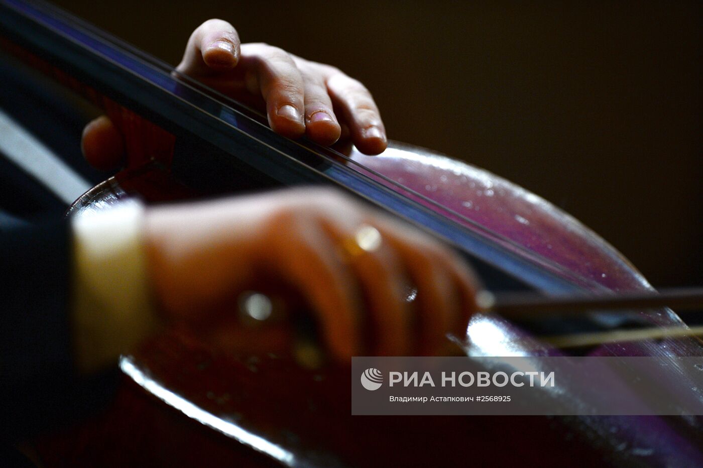 Концерт памяти Елены Образцовой