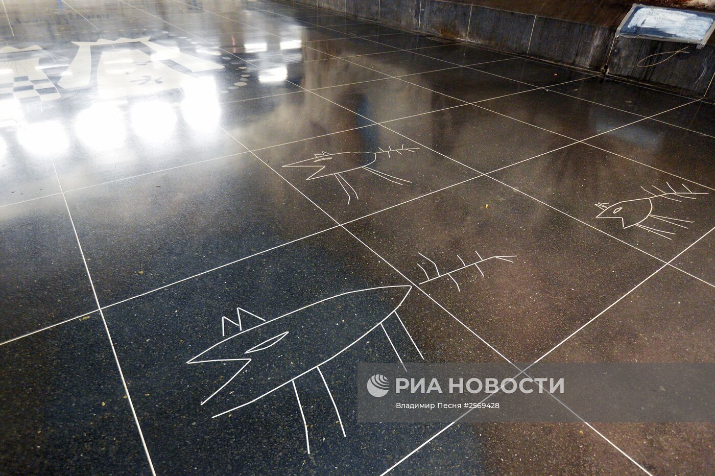 Виды стокгольмского метро