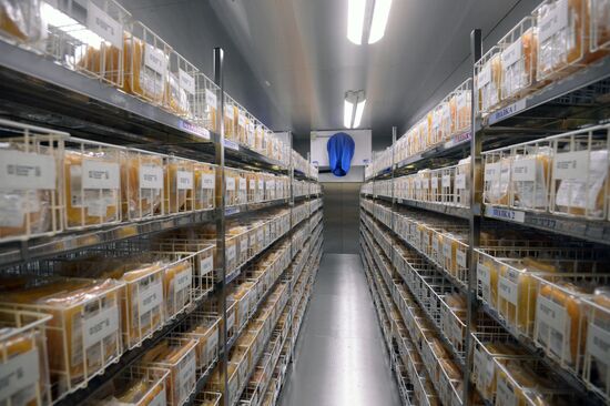 День донора в Республиканском центре крови в Казани