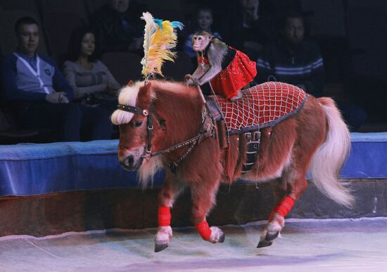 Цирковое шоу "Карнавал" во Владивостоке