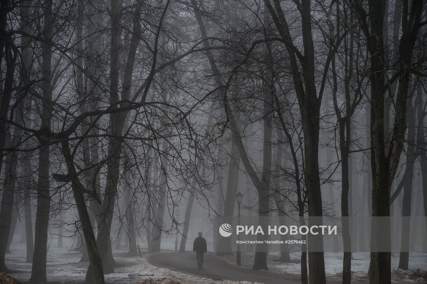 Туман в Великом Новгороде