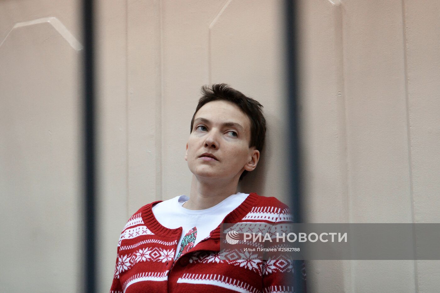 Заседание суда по делу Н.Савченко