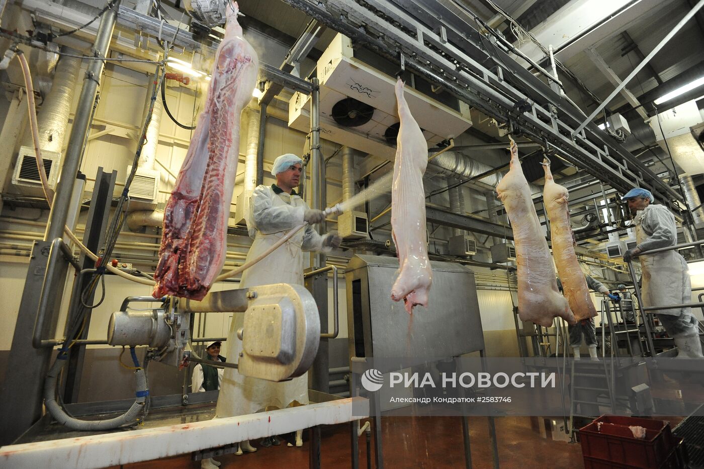 Родниковский свинокомплекс в Челябинской области