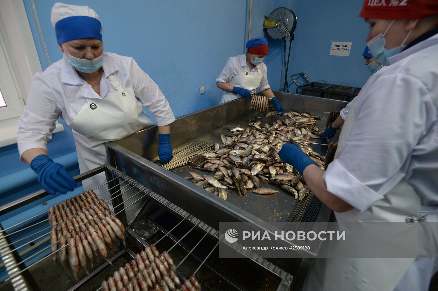 Перерабатывающий рыбозавод группы компаний "Камшат" в Новосибирске