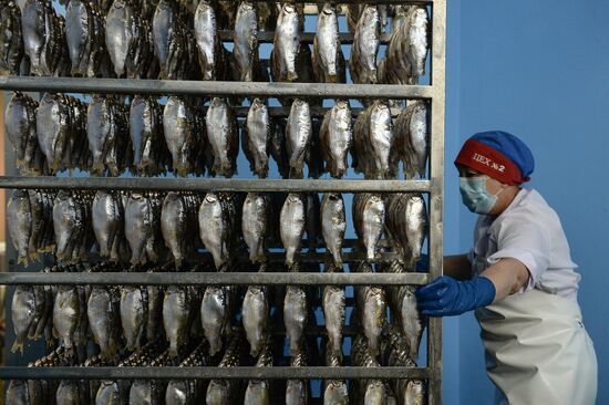 Перерабатывающий рыбозавод группы компаний "Камшат" в Новосибирске