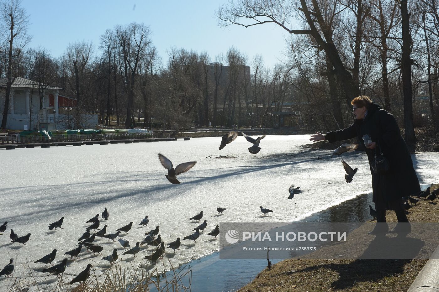 Теплая погода в Москве