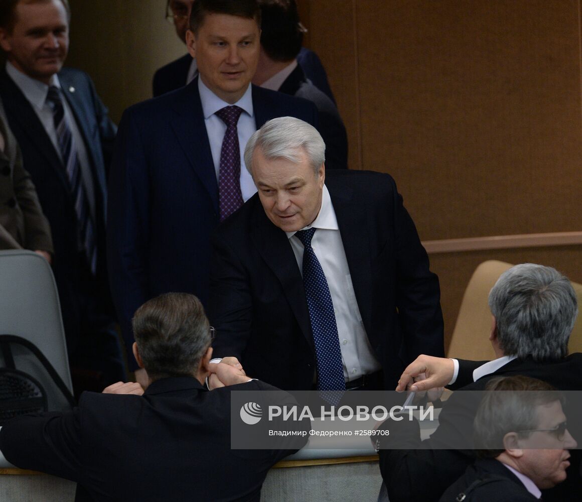 Пленарное заседание Госдумы РФ