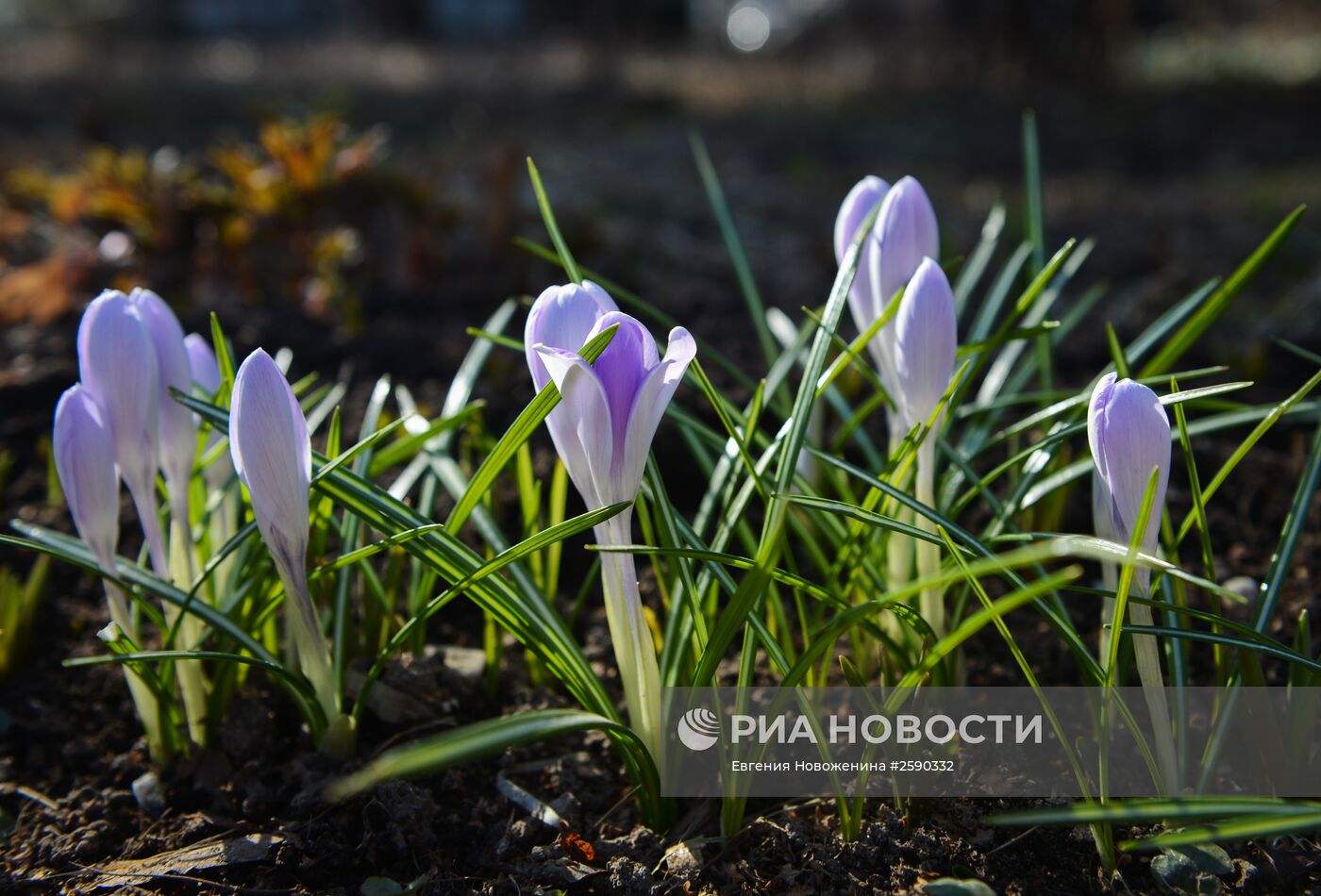 Ботанический сад МГУ им. М.В.Ломоносова "Аптекарский огород"