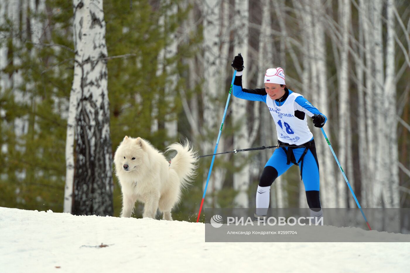 Этап кубка Мира по гонкам на собачьих упряжках и скиджорингу
