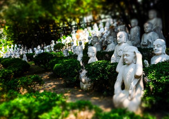 Города мира. Гаосюн