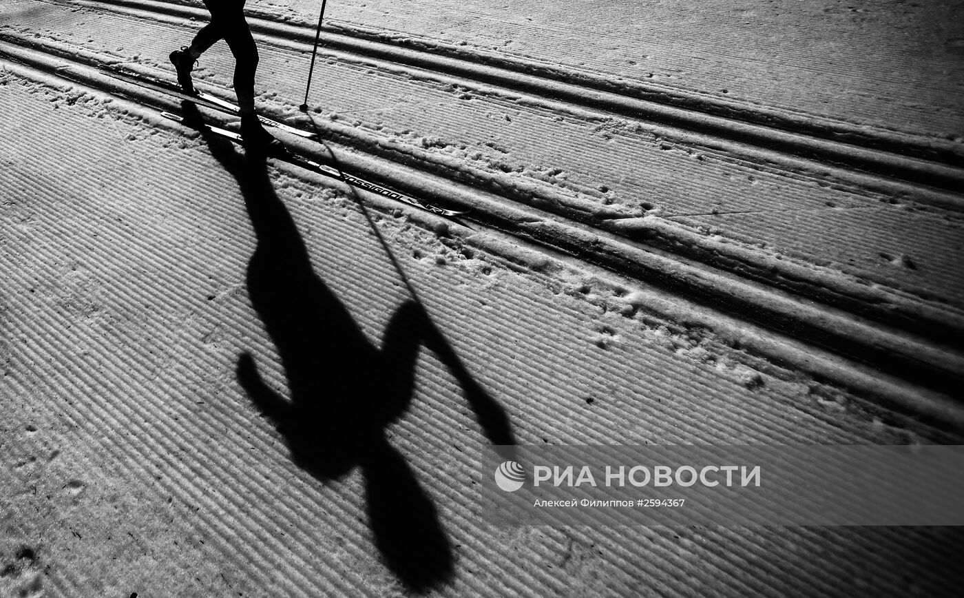 Паралимпиада 2014. Лыжные гонки. Мужчины. 20 км