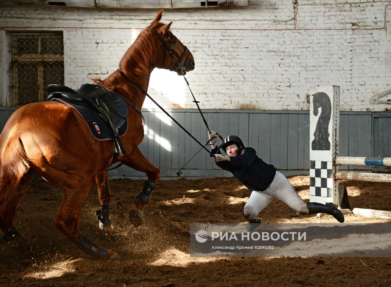 Центр спортивной подготовки по конному спорту в Новосибирске