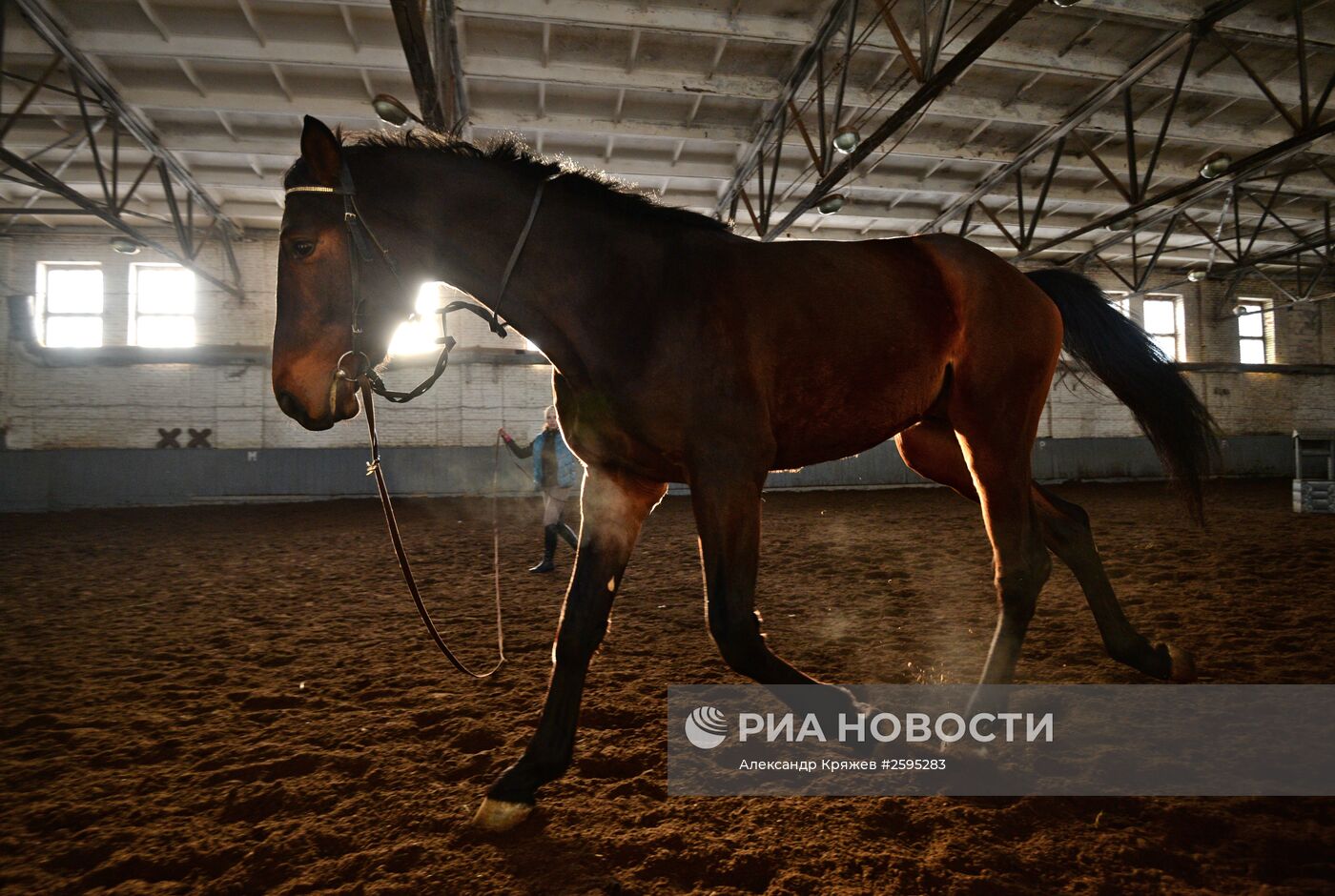 Центр спортивной подготовки по конному спорту в Новосибирске