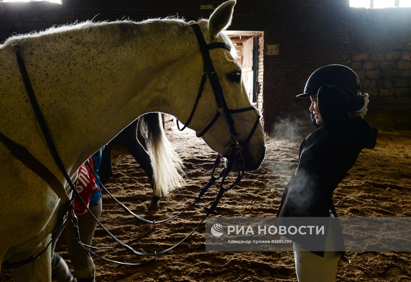 Центр спортивной подготовки по конному спорту в Новосибирске