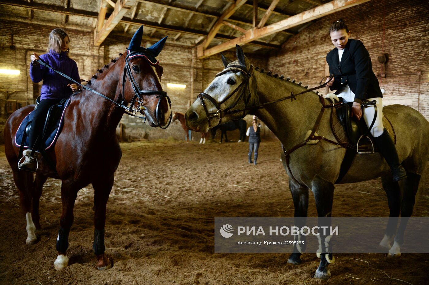 Центр спортивной подготовки по конному спорту в Новосибирске