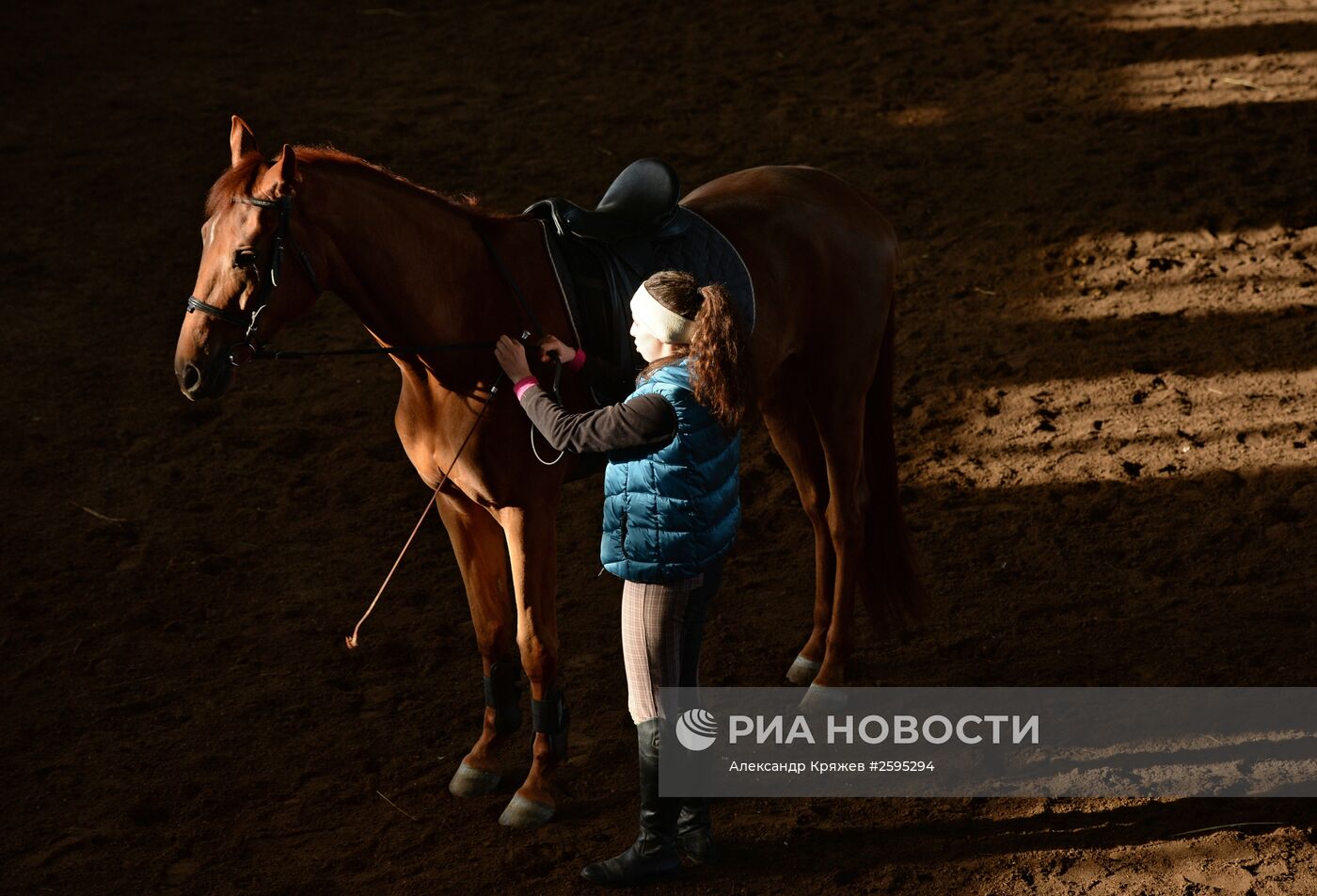 Центр спортивной подготовки по конному спорту в Новосибирске