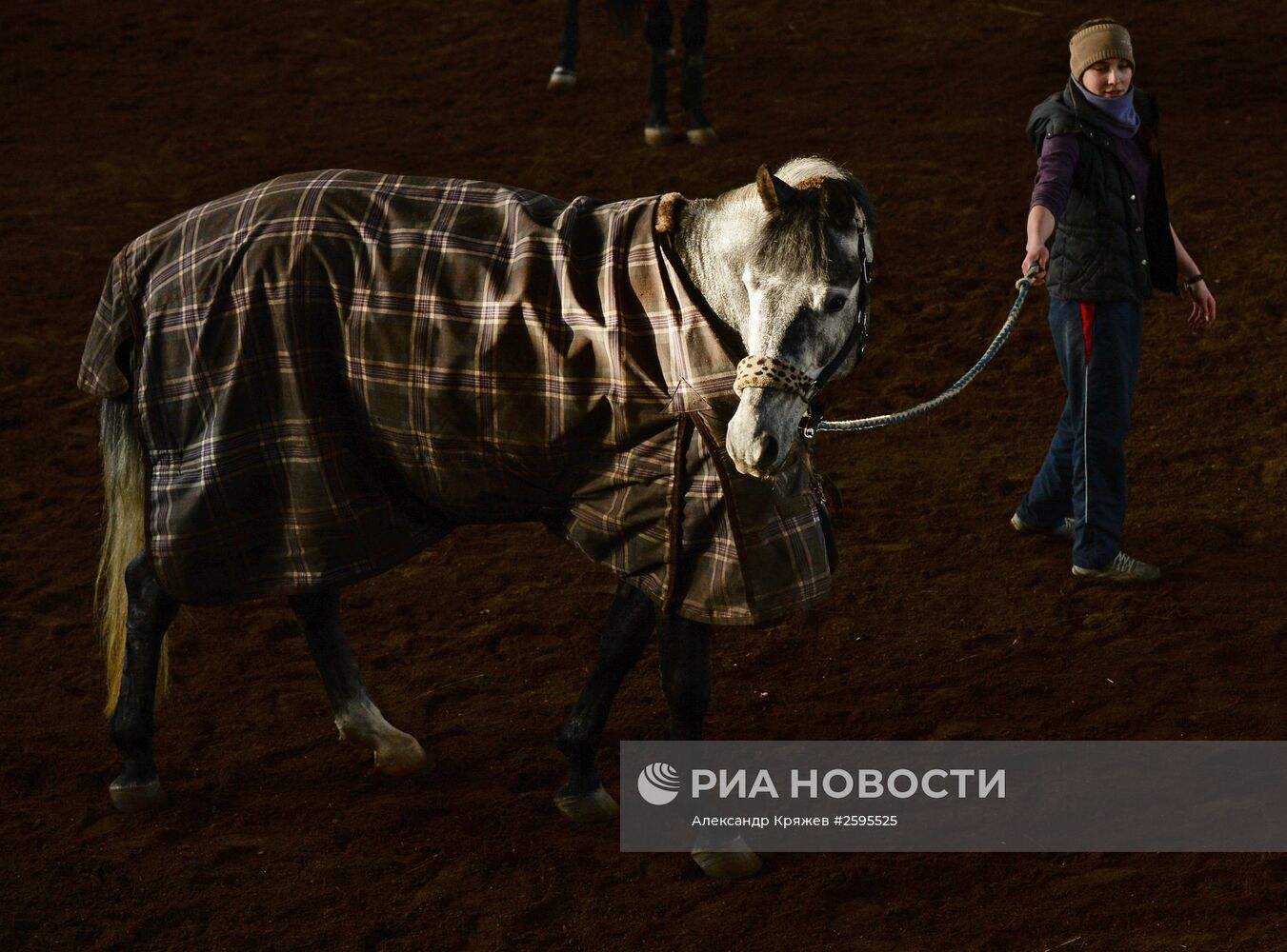 Центр спортивной подготовки по конному спорту в Новосибирске