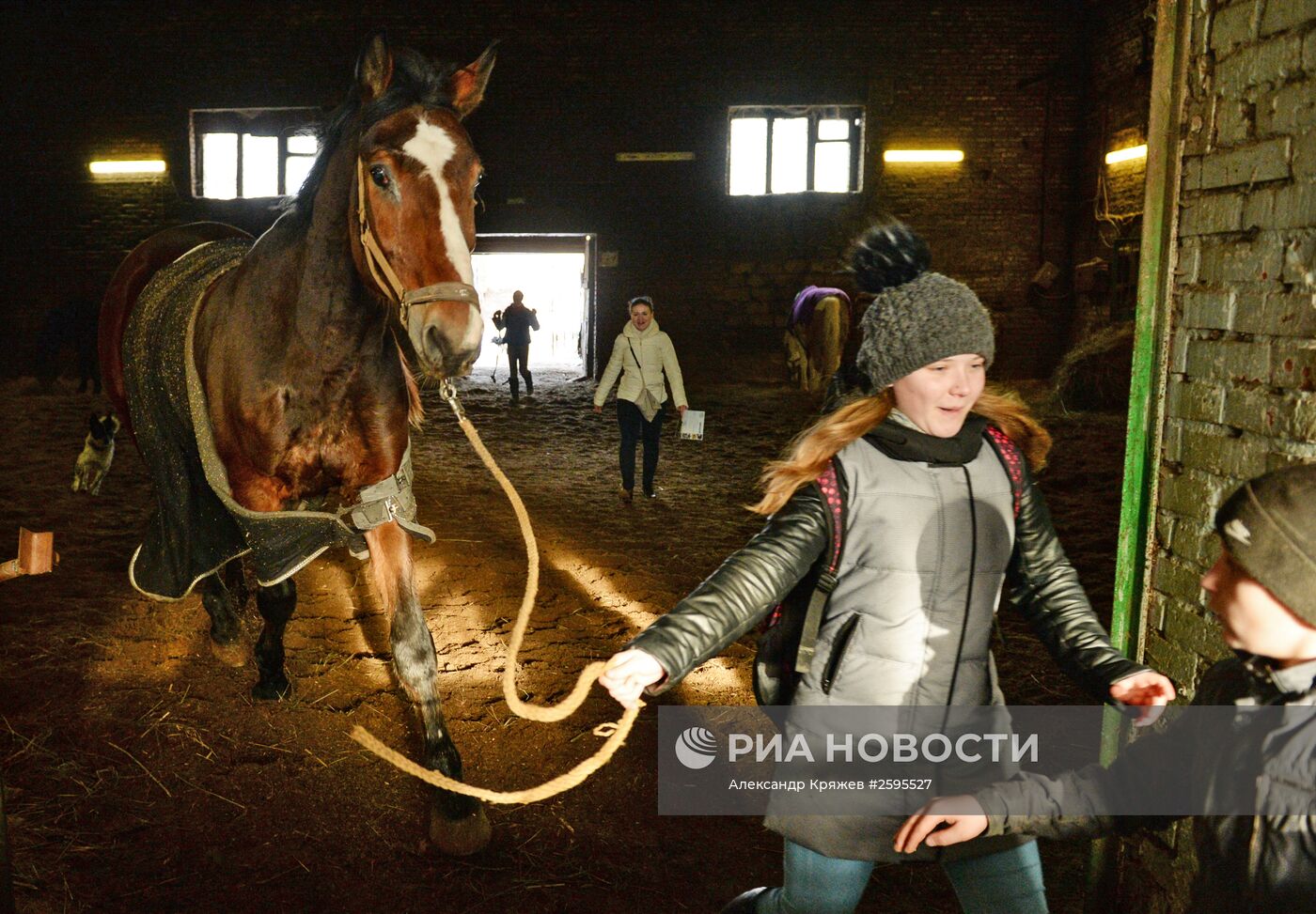 Центр спортивной подготовки по конному спорту в Новосибирске