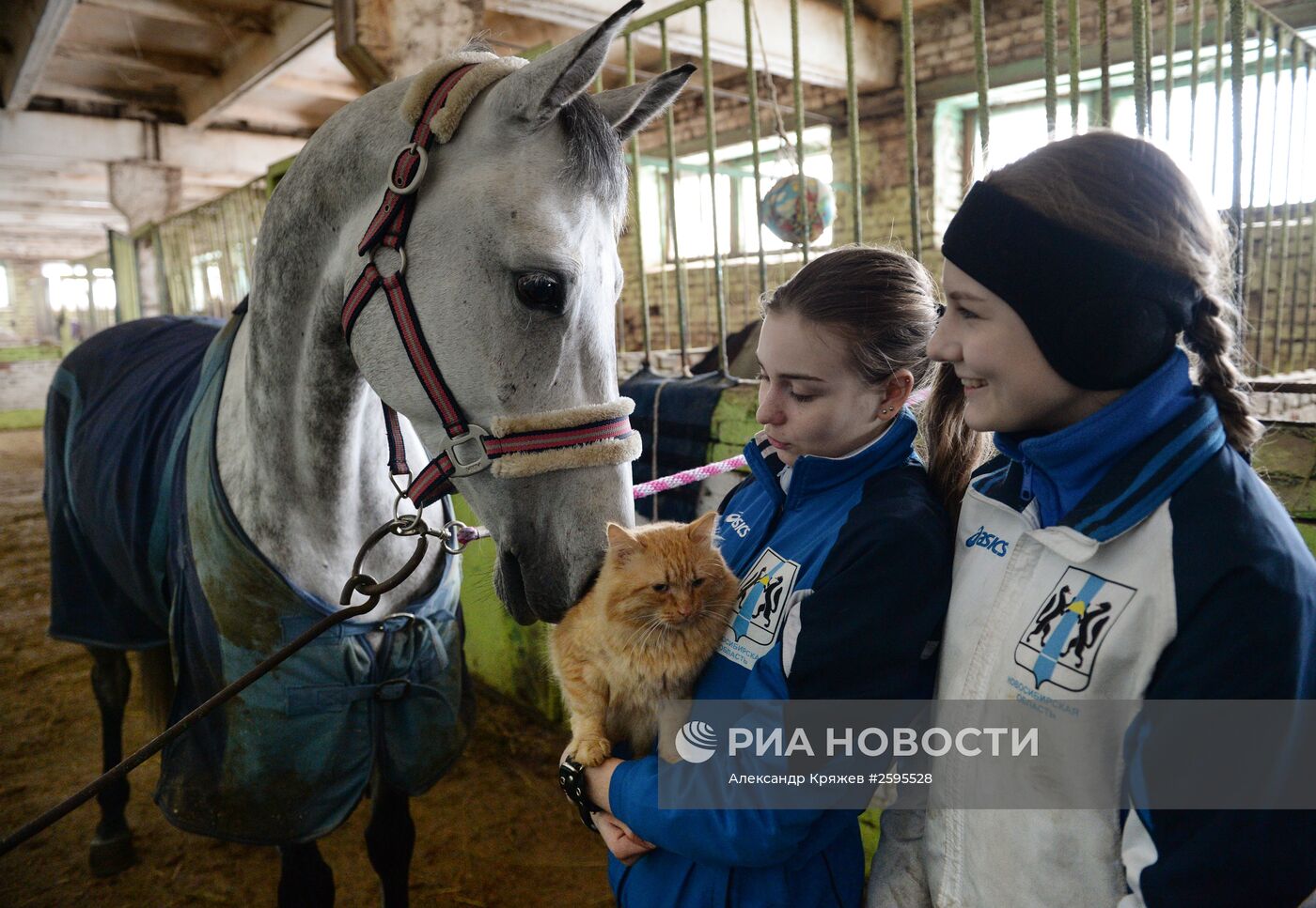 Центр спортивной подготовки по конному спорту в Новосибирске