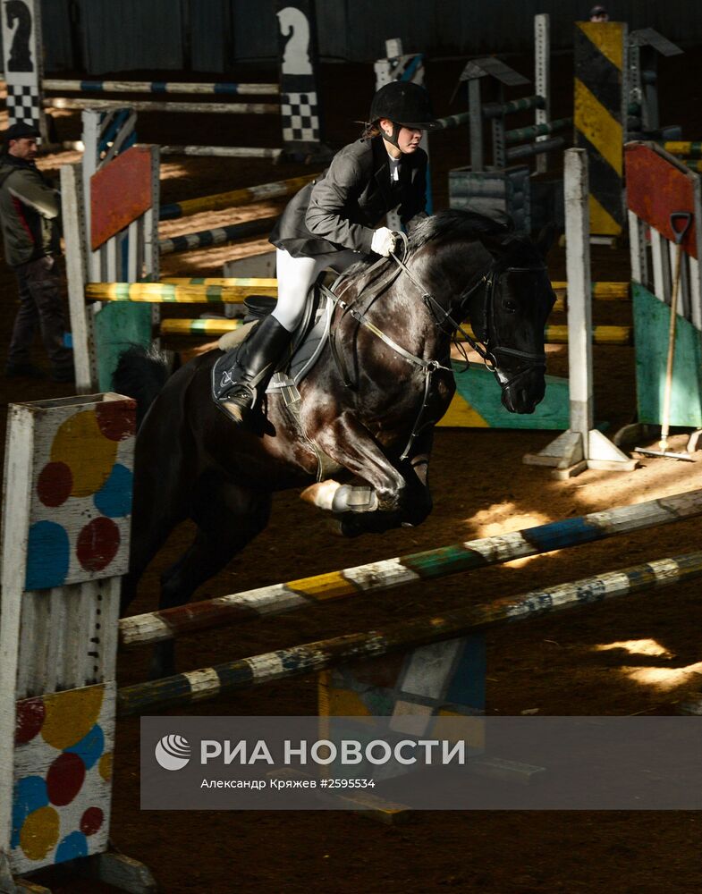 Центр спортивной подготовки по конному спорту в Новосибирске