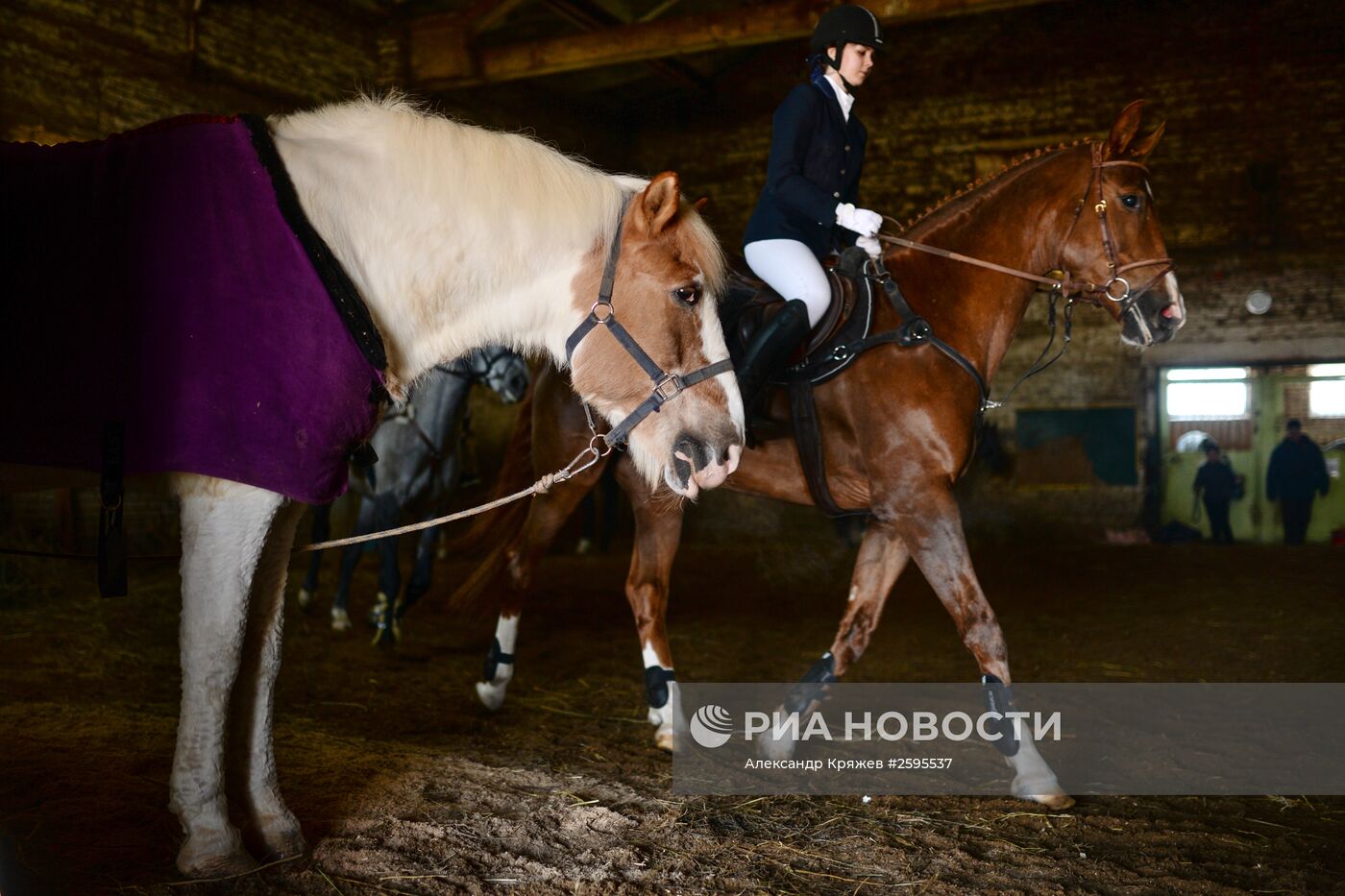 Центр спортивной подготовки по конному спорту в Новосибирске