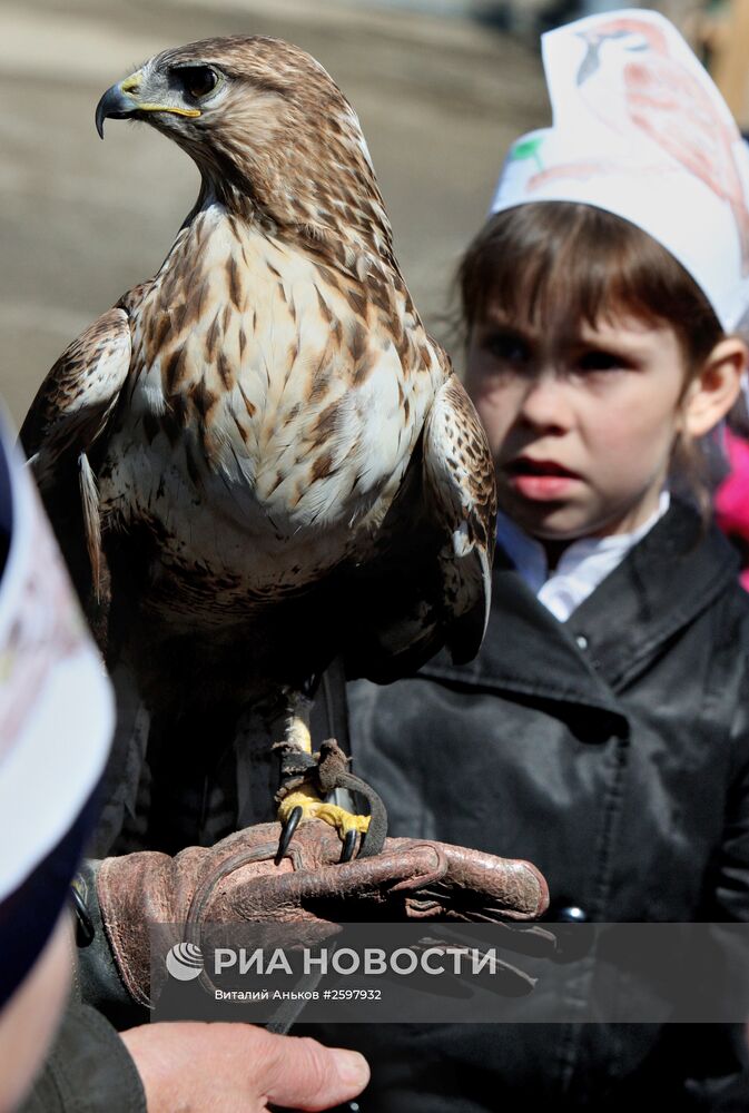 Международный день птиц в частном зоопарке Владивостока