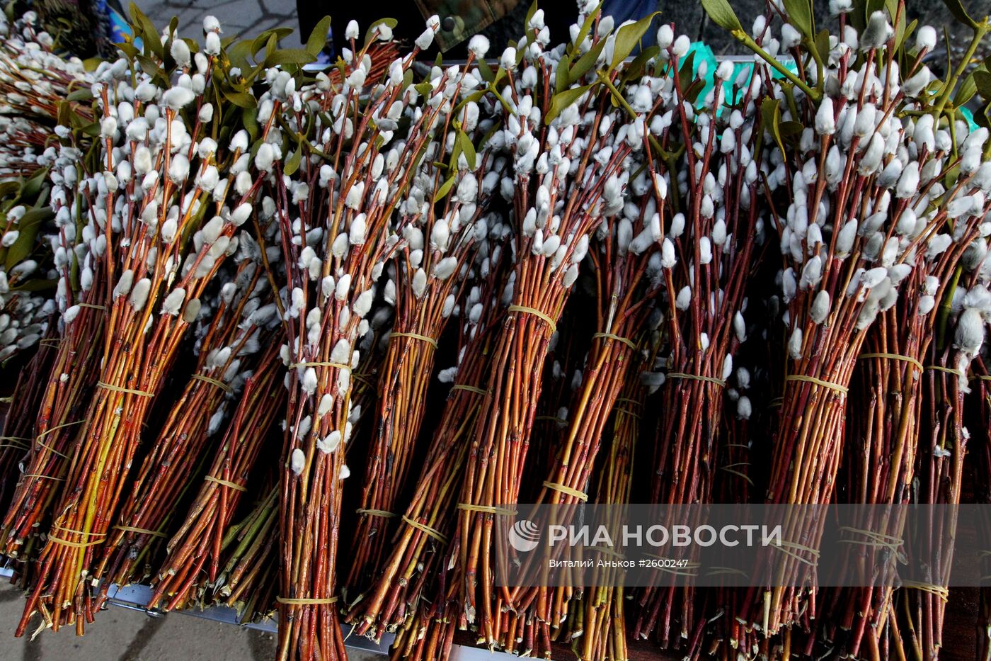 Вербное воскресенье в регионах России