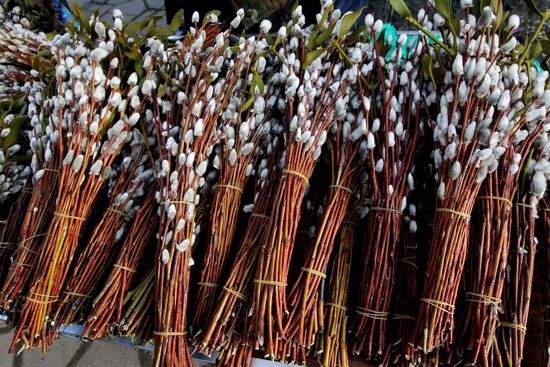 Вербное воскресенье в регионах России