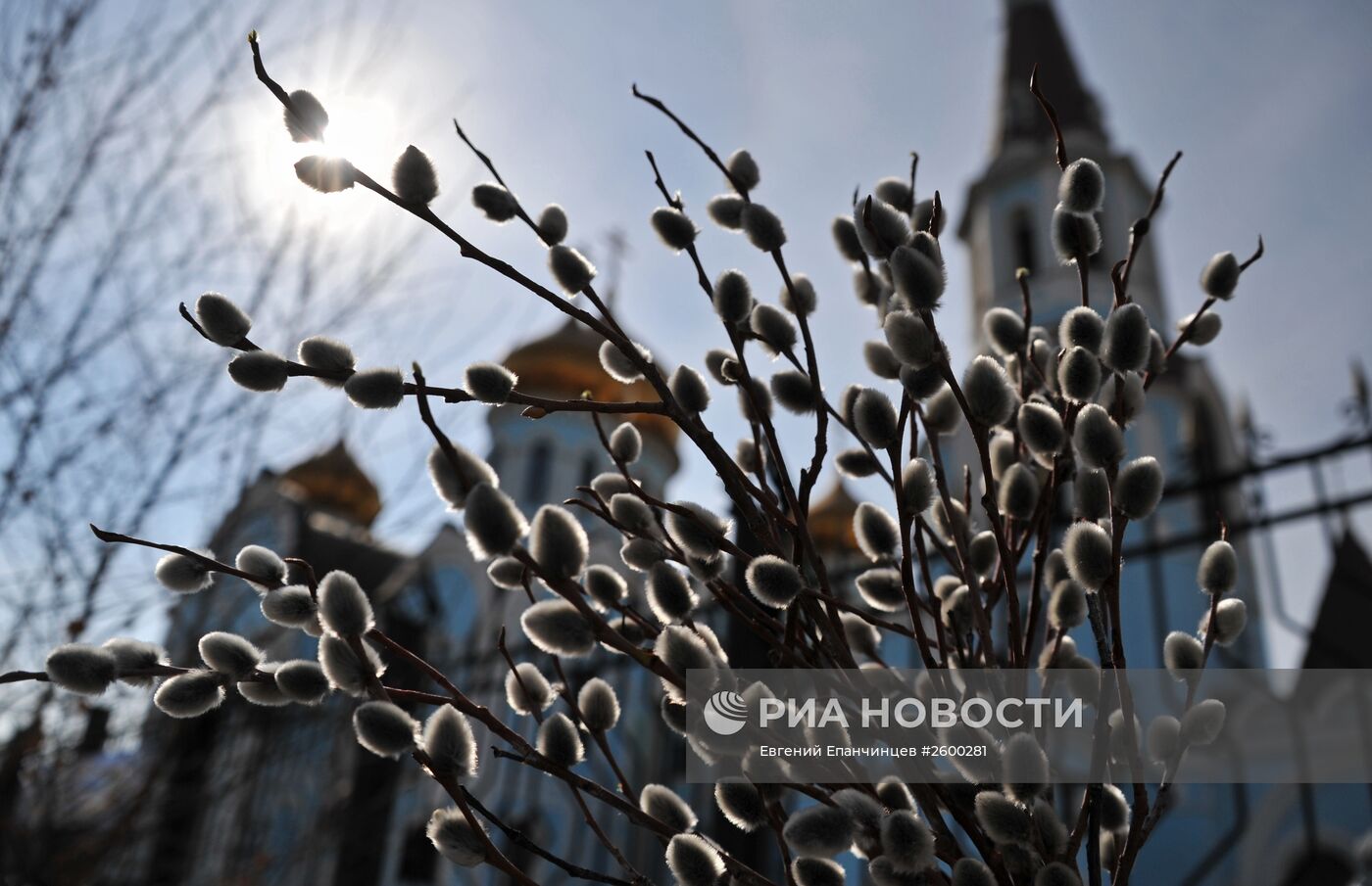 Вербное воскресенье в регионах России