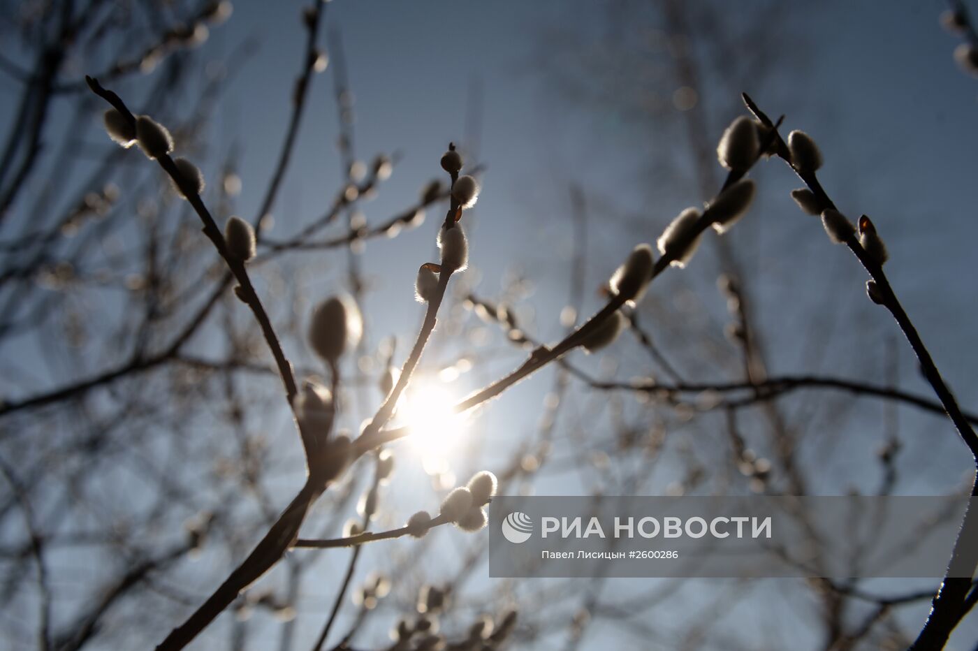 Вербное воскресенье в регионах России