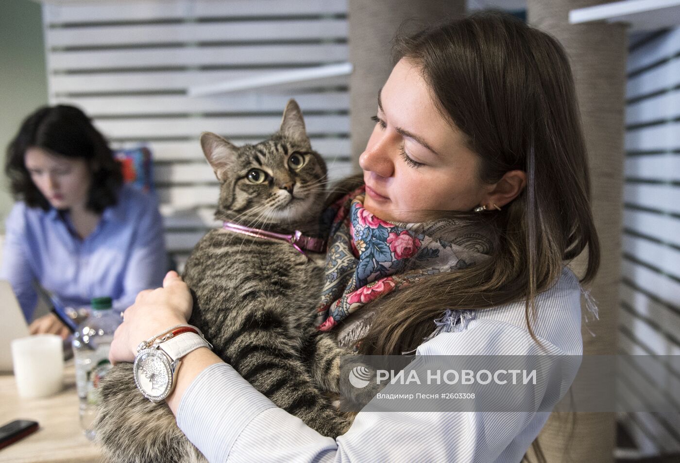 Котокафе "Котики и люди"