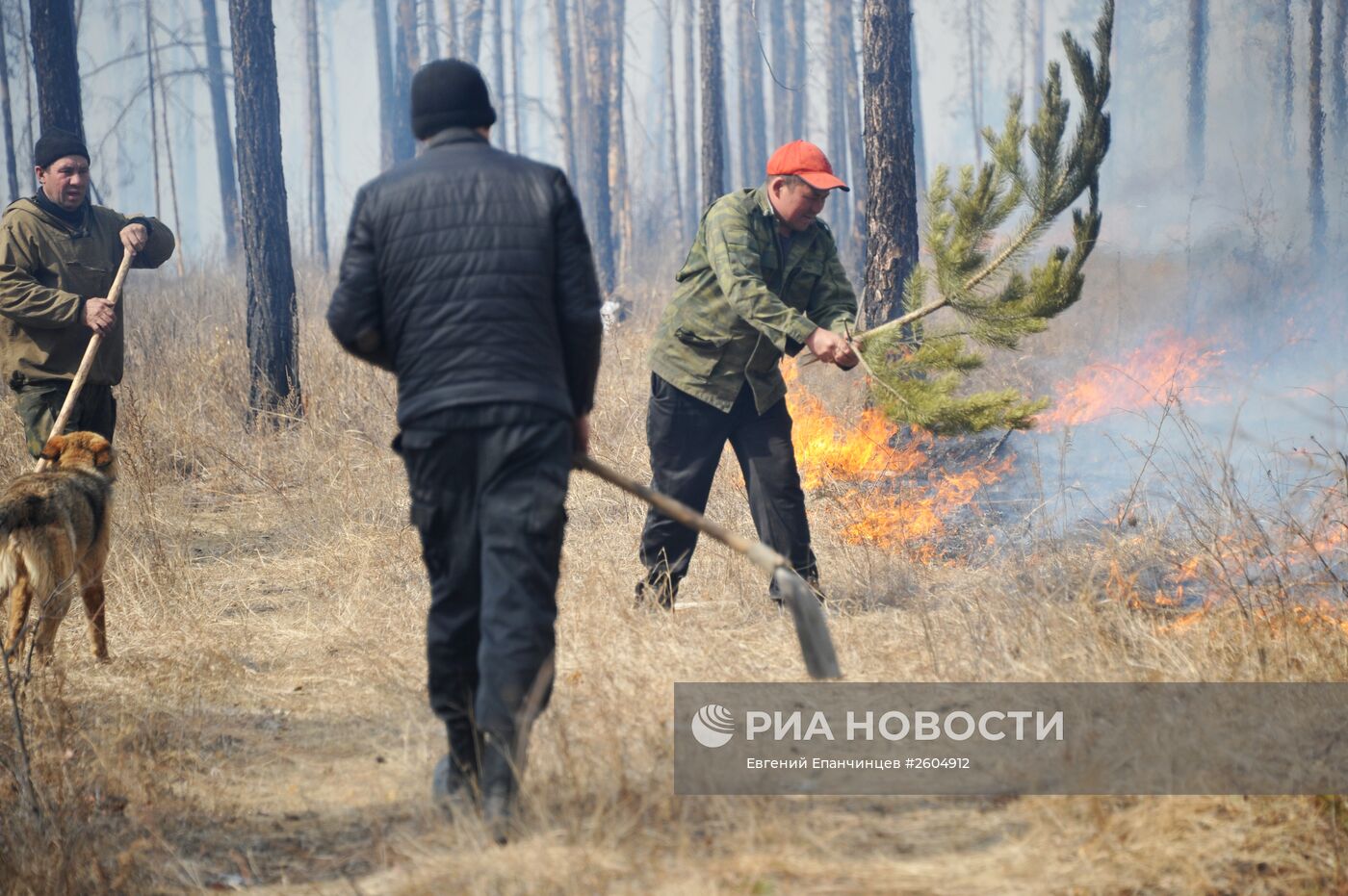 Пожары в Забайкальском крае