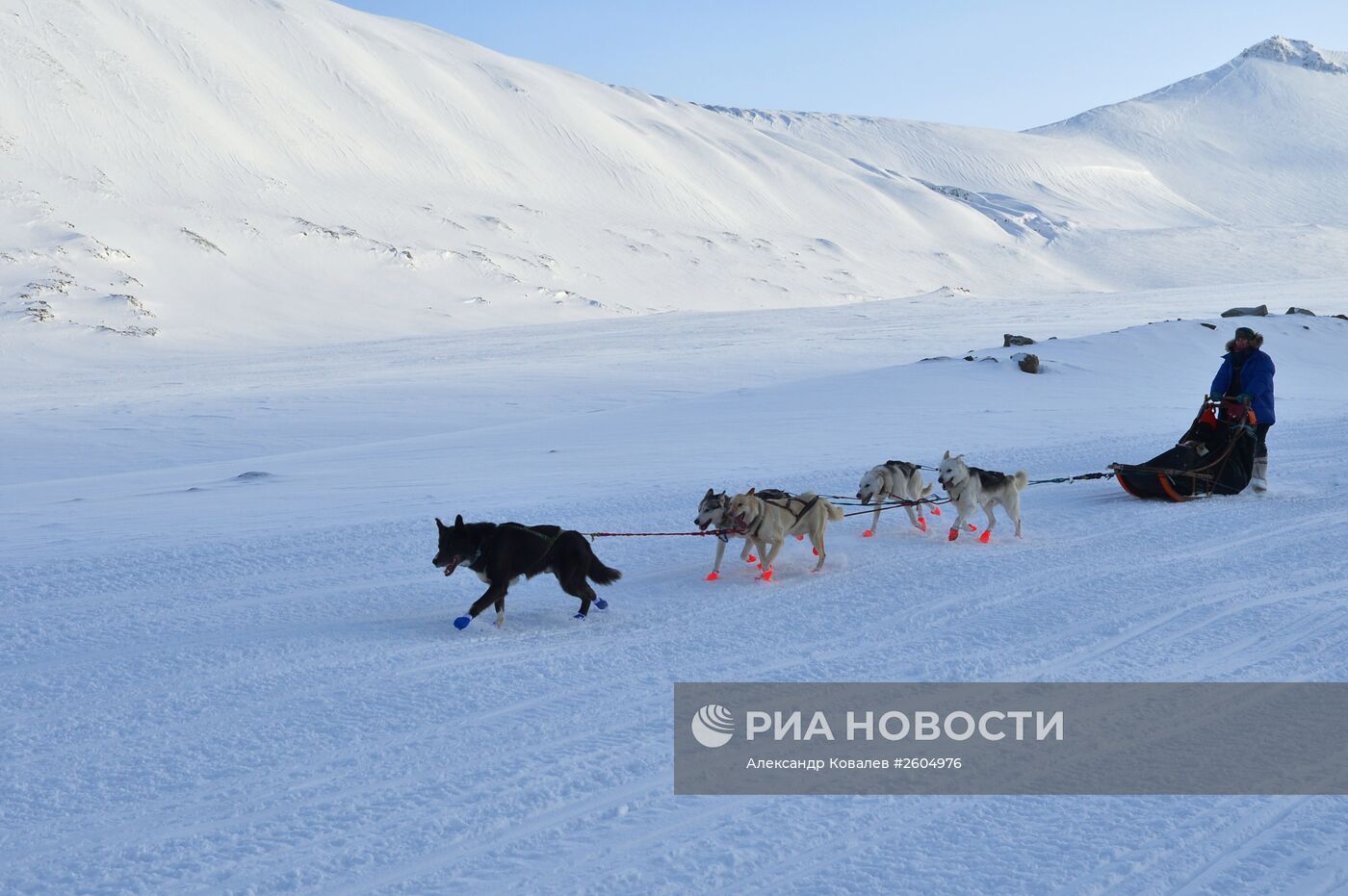 Высокоширотная полярная экспедиция на Шпицберген в рамках проекта "Арктика – 2015"