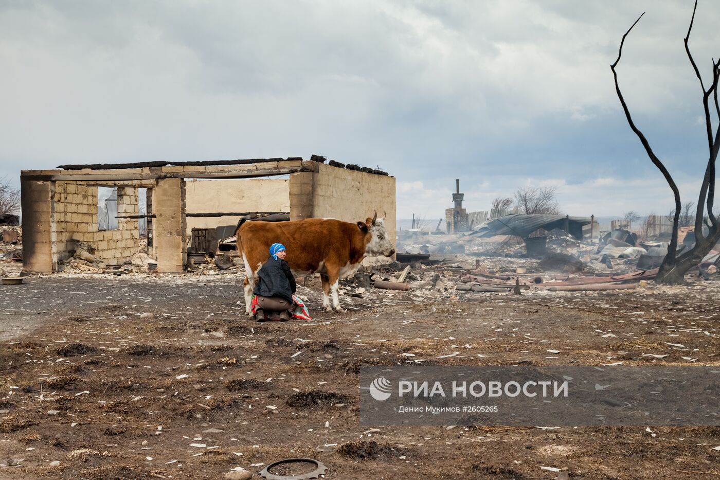 Последствия пожаров в Хакасии