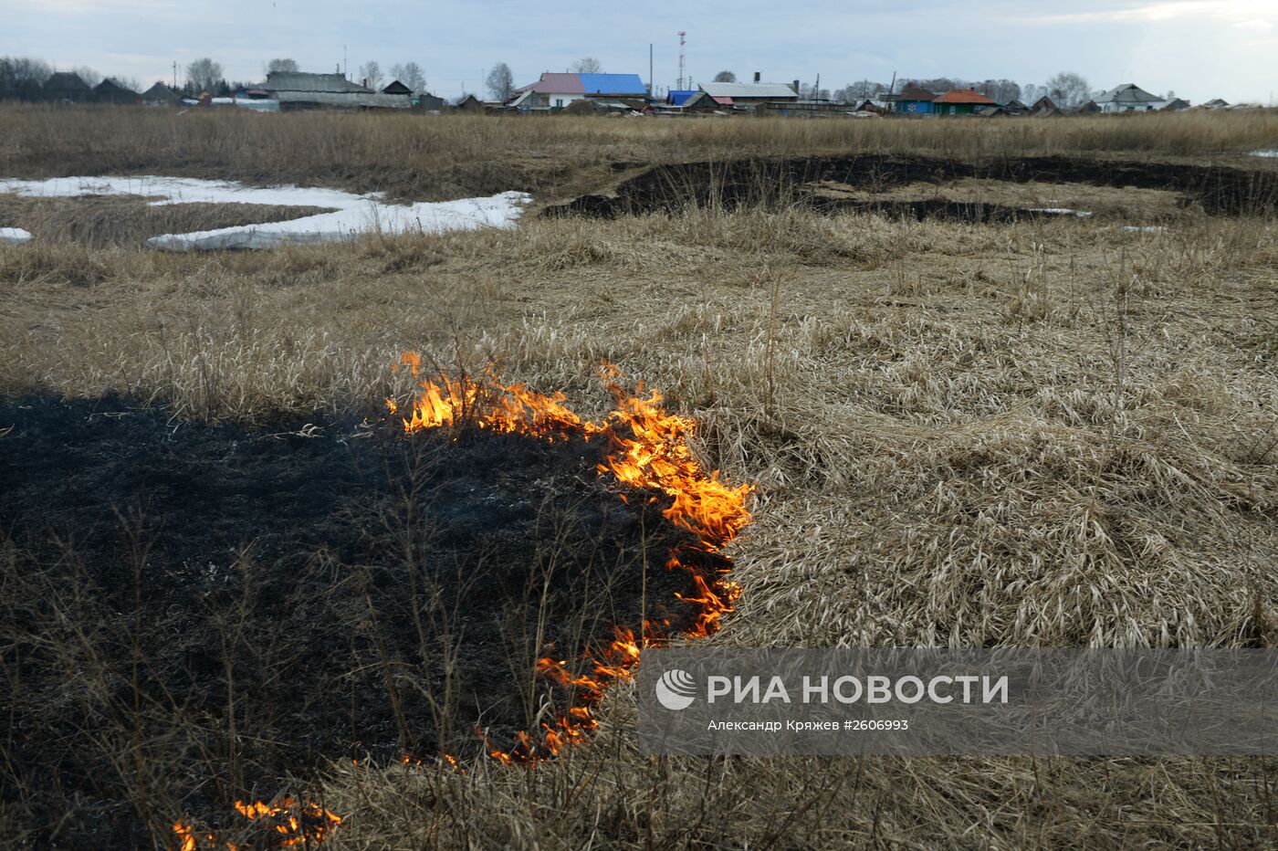 Горение сухой травы в Новосибирской области
