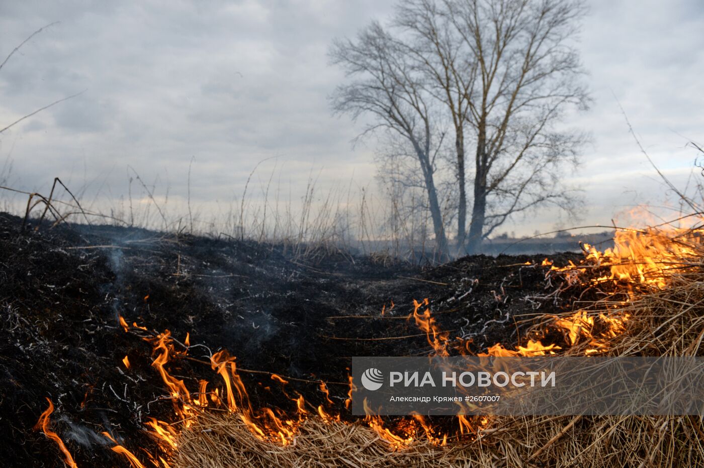 Горение сухой травы в Новосибирской области