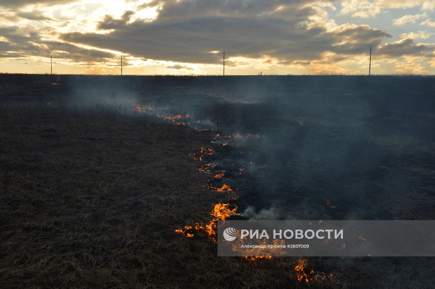 Горение сухой травы в Новосибирской области