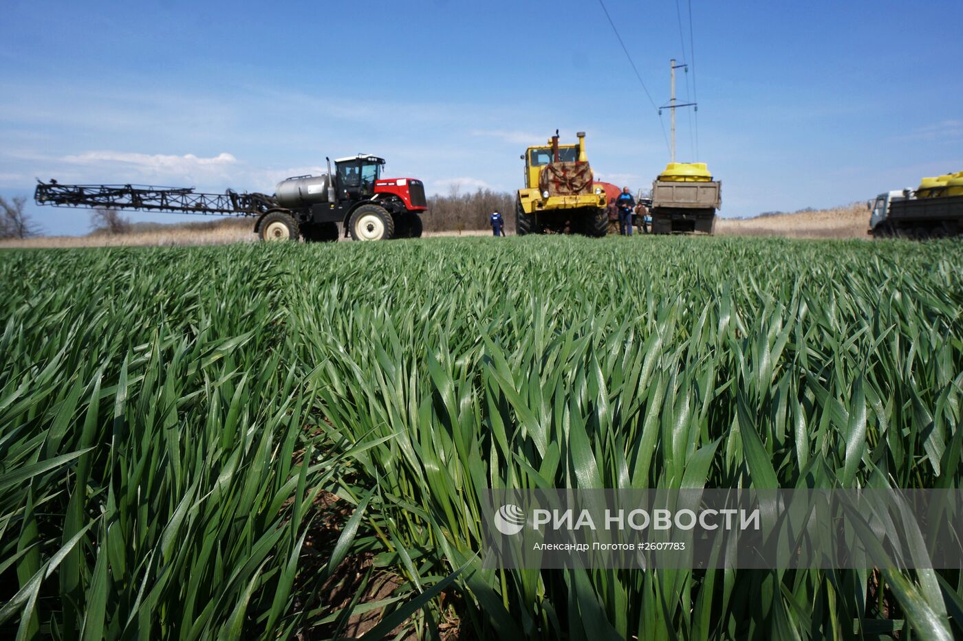 Весенне-полевые работы в Ростовской области