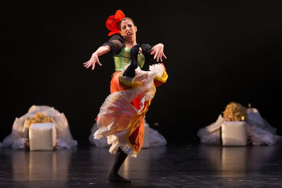 Венский государственный балет в Санкт-Петербурге